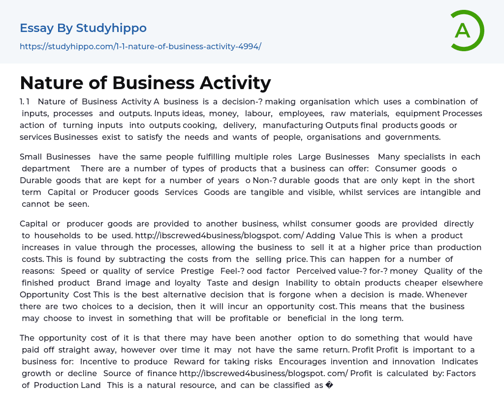 Nature of Business Activity Essay Example