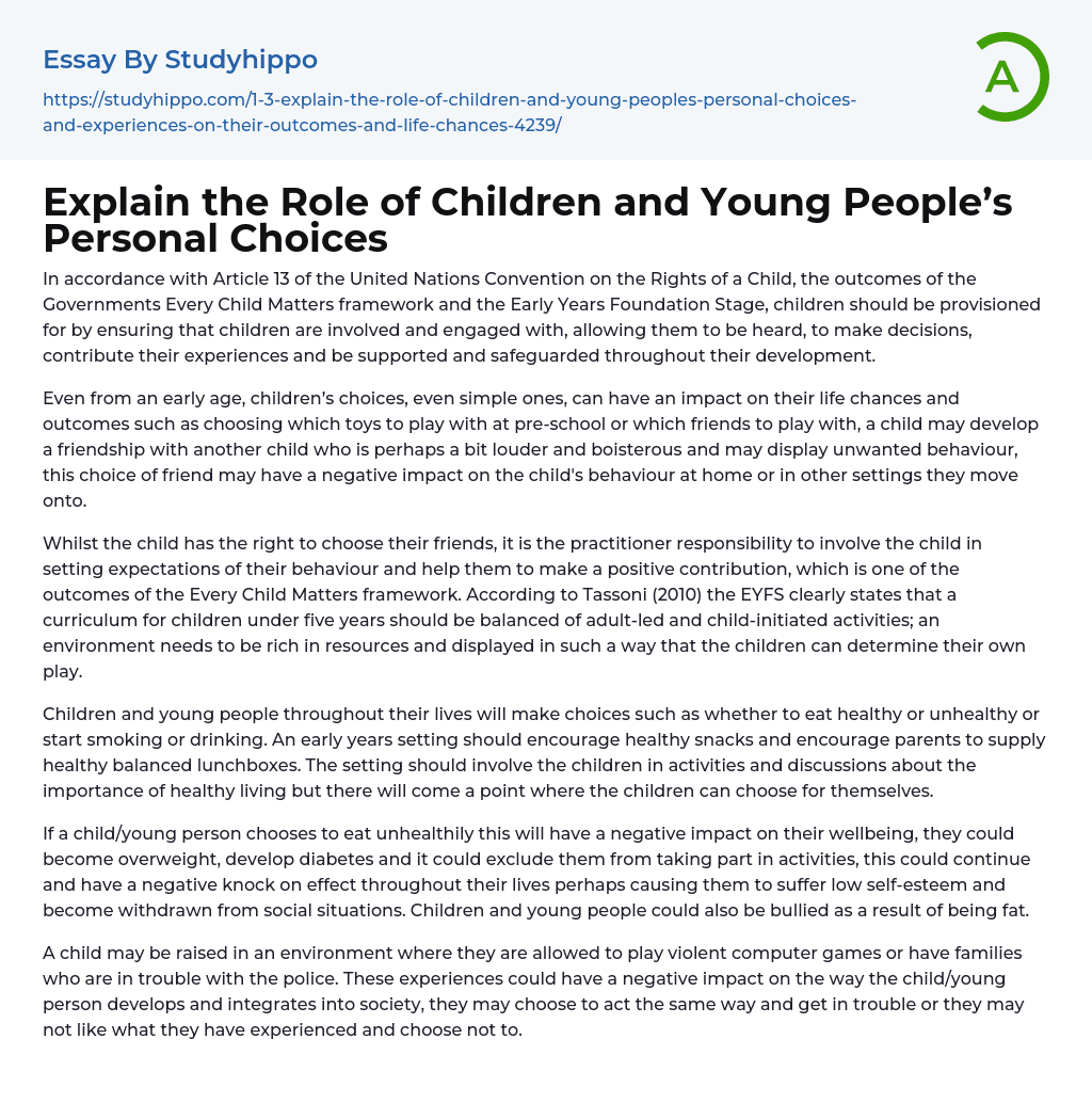 Explain the Role of Children and Young People’s Personal Choices Essay Example