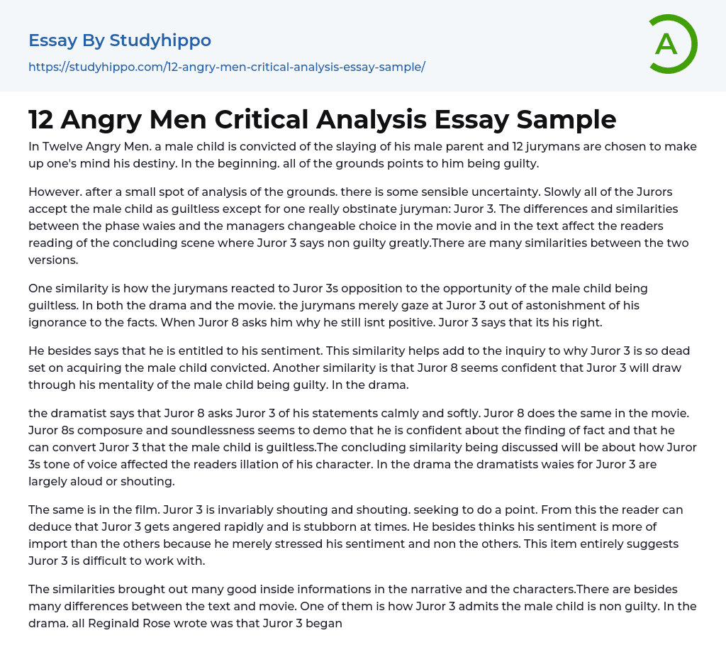 12 Angry Men Critical Analysis Essay Sample