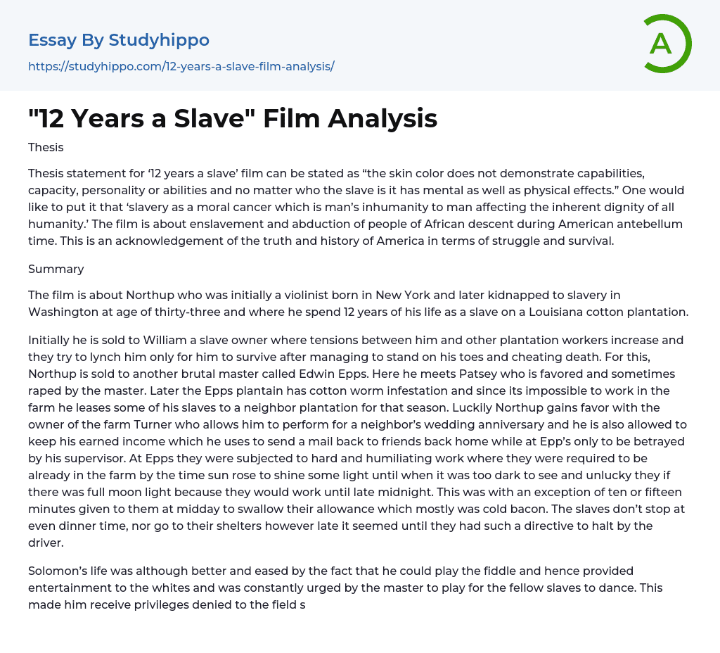 “12 Years a Slave” Film Analysis Essay Example