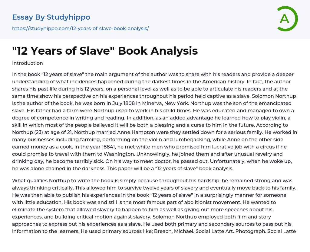 “12 Years of Slave” Book Analysis Essay Example