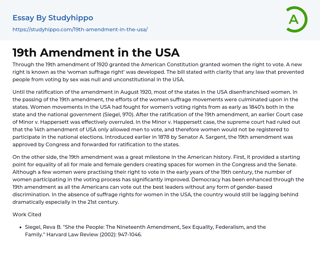 19th Amendment in the USA Essay Example