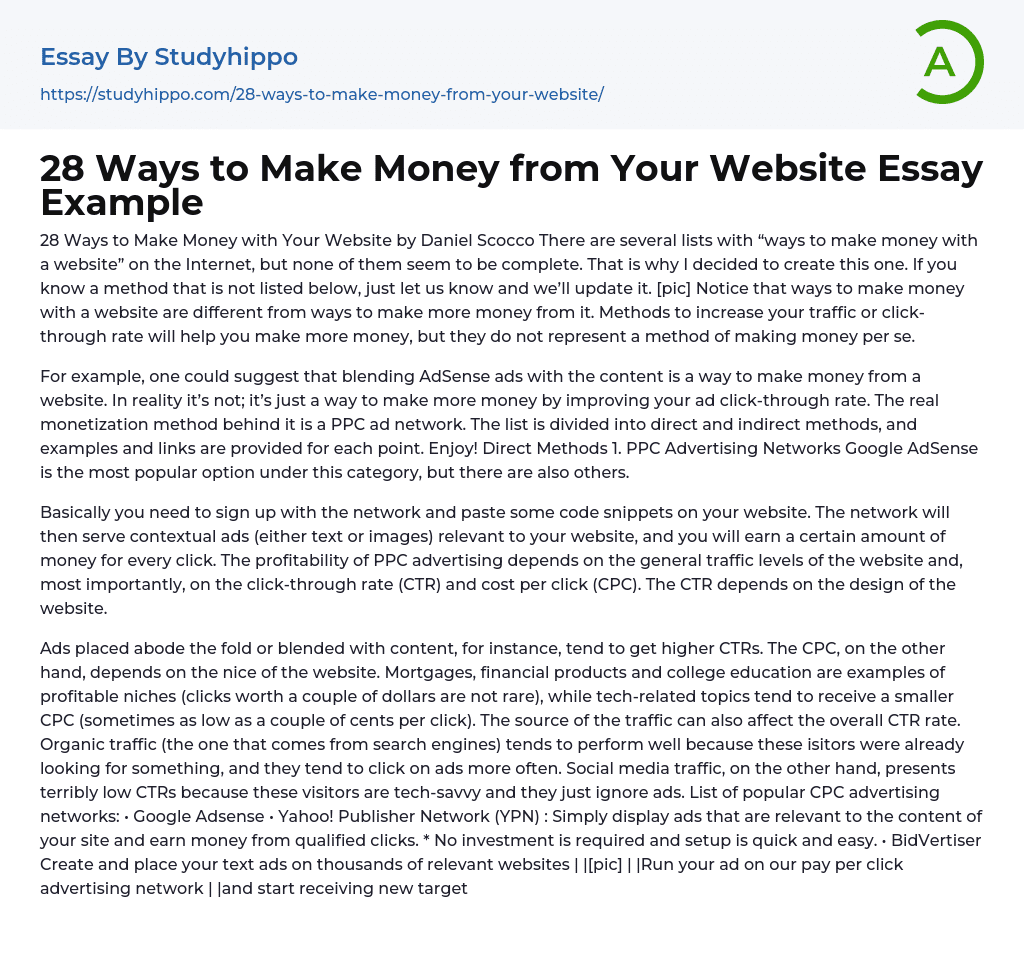 28 Ways to Make Money from Your Website Essay Example