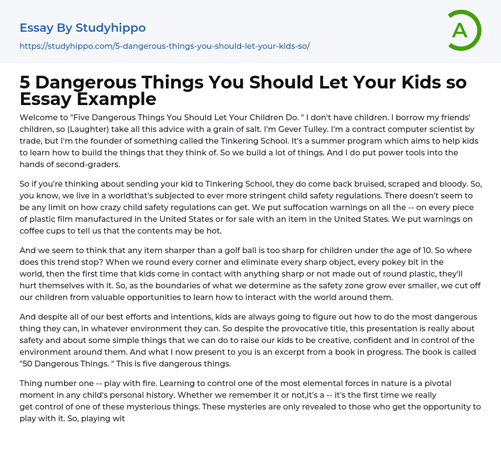 5 Dangerous Things You Should Let Your Kids so Essay Example