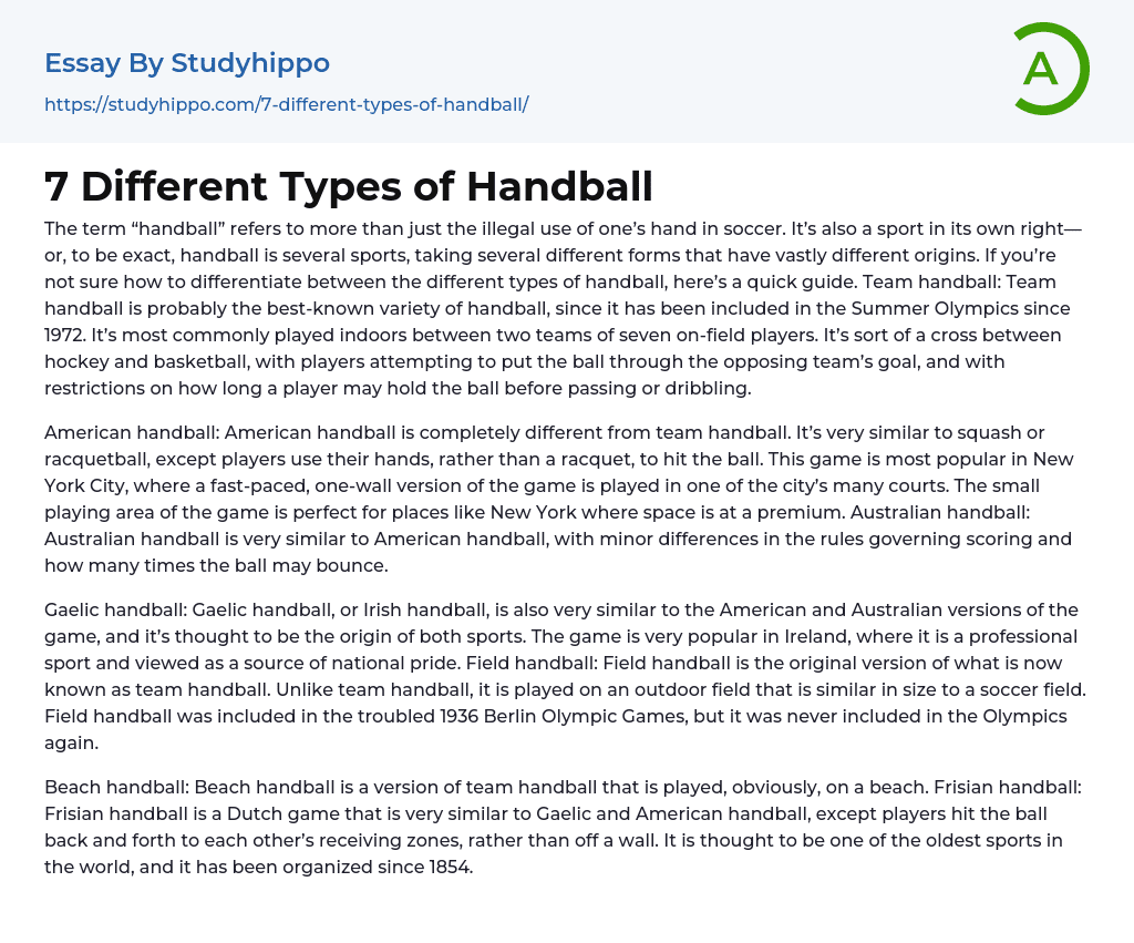7 Different Types of Handball Essay Example