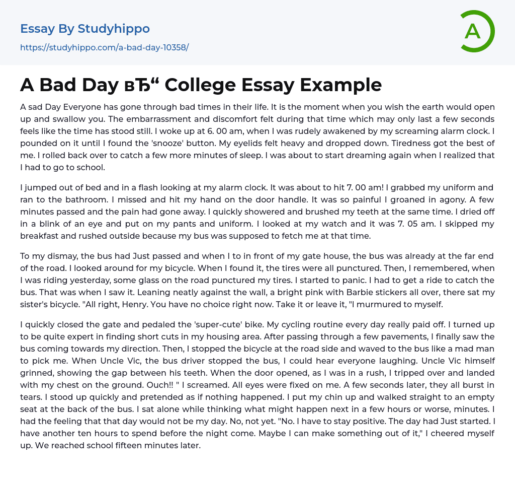 A Bad Day College Essay Example