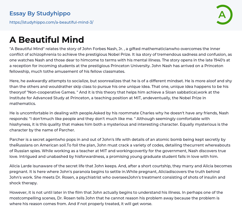 a beautiful mind essay question