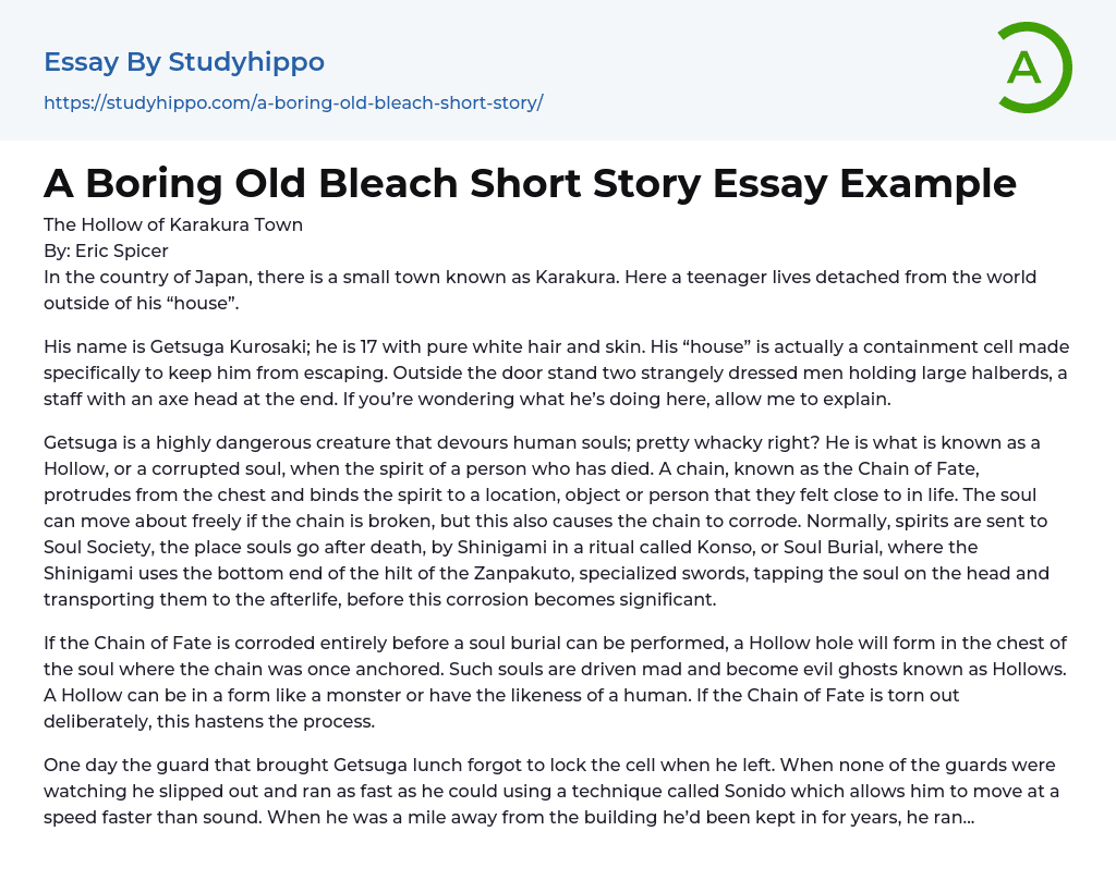 A Boring Old Bleach Short Story Essay Example