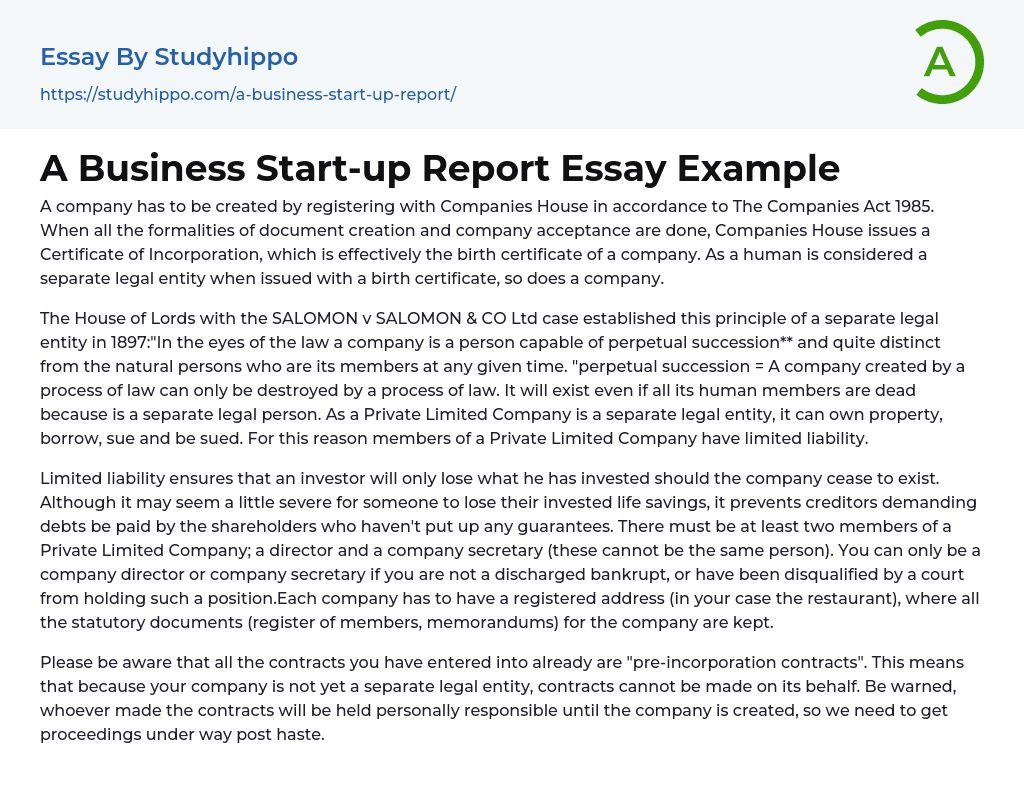 A Business Start-up Report Essay Example