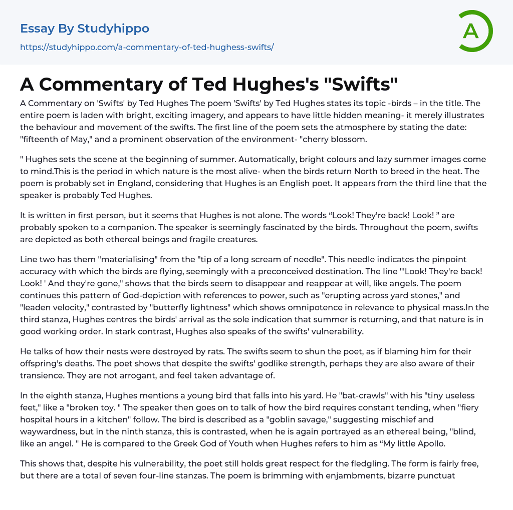 A Commentary of Ted Hughes’s “Swifts” Essay Example