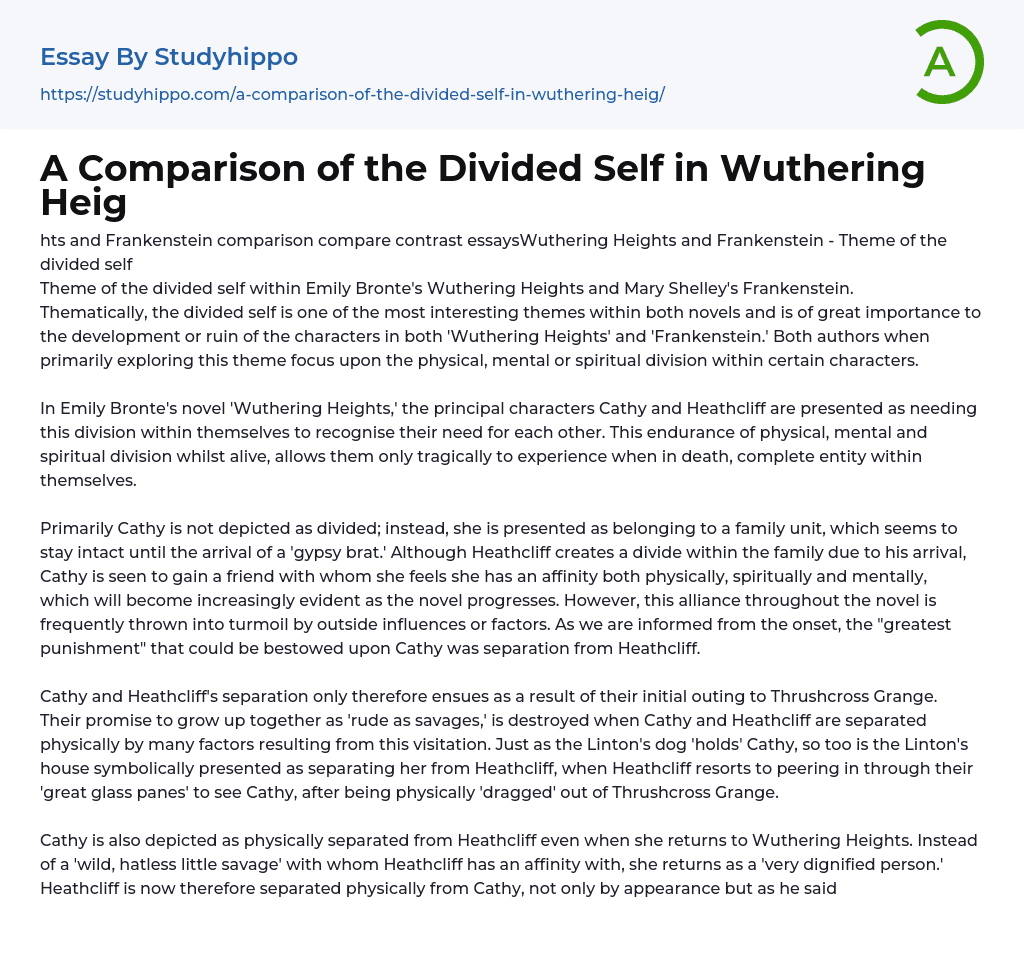 A Comparison of the Divided Self in Wuthering Heig Essay Example