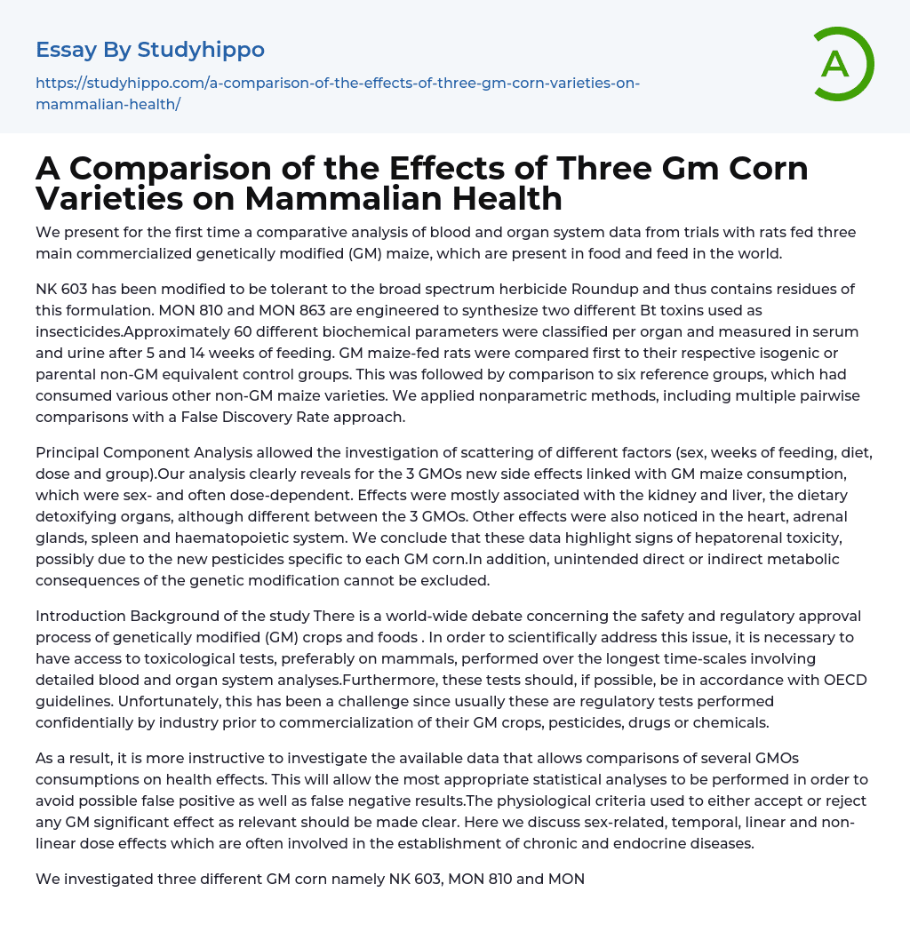 A Comparison of the Effects of Three Gm Corn Varieties on Mammalian Health Essay Example