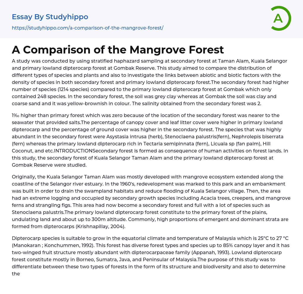 A Comparison of the Mangrove Forest Essay Example