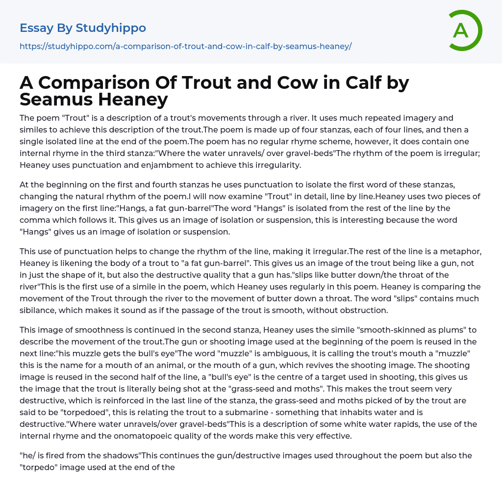 A Comparison Of Trout and Cow in Calf by Seamus Heaney Essay Example