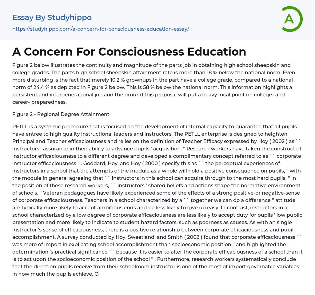 A Concern For Consciousness Education Essay Example