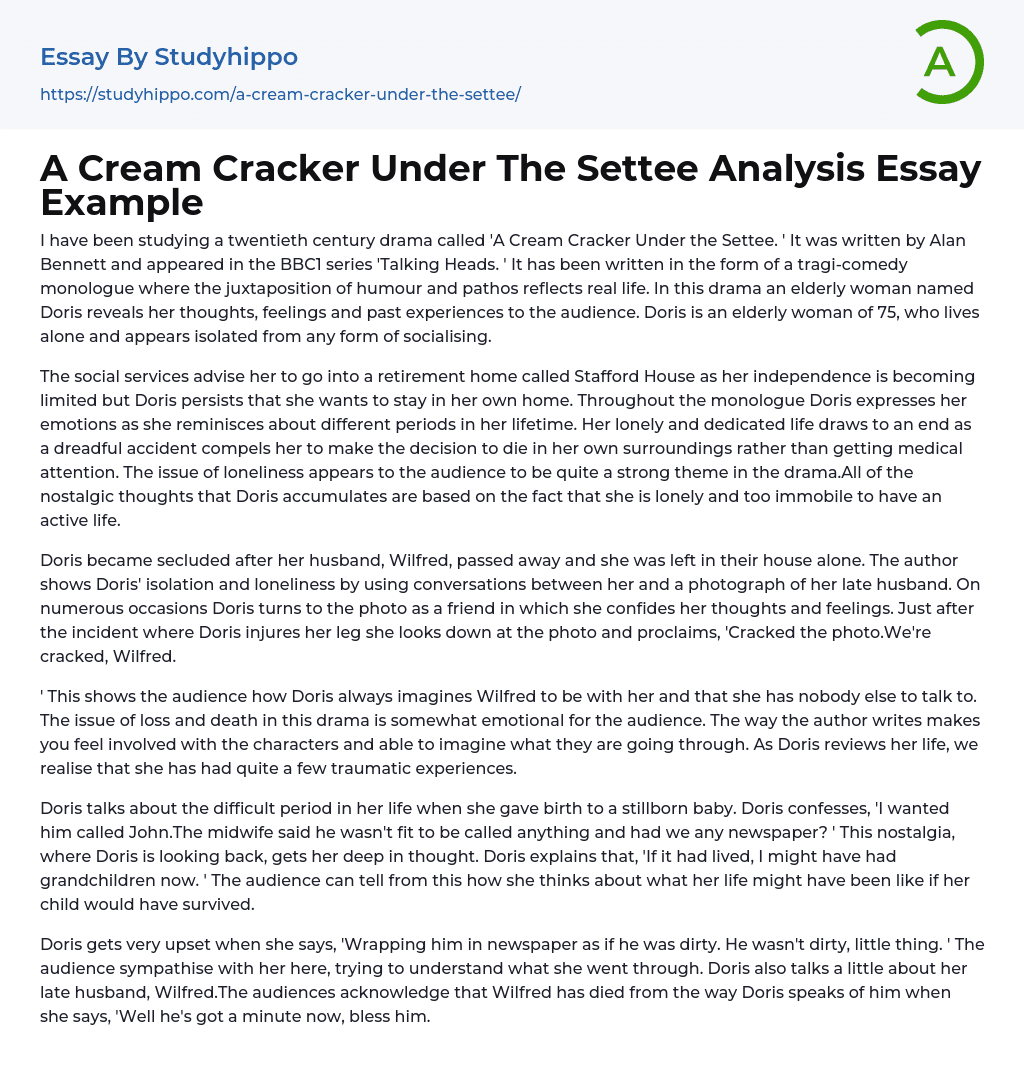 A Cream Cracker Under The Settee Analysis Essay Example