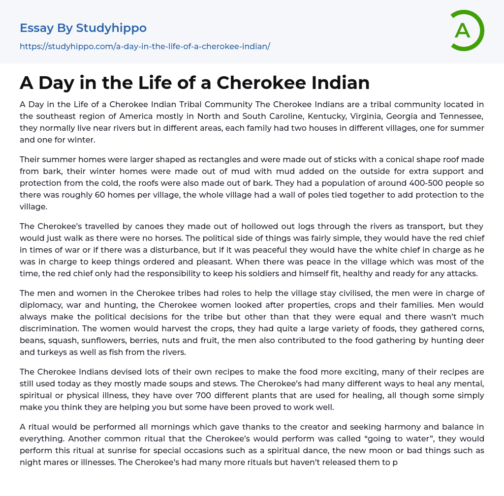 A Day in the Life of a Cherokee Indian Essay Example