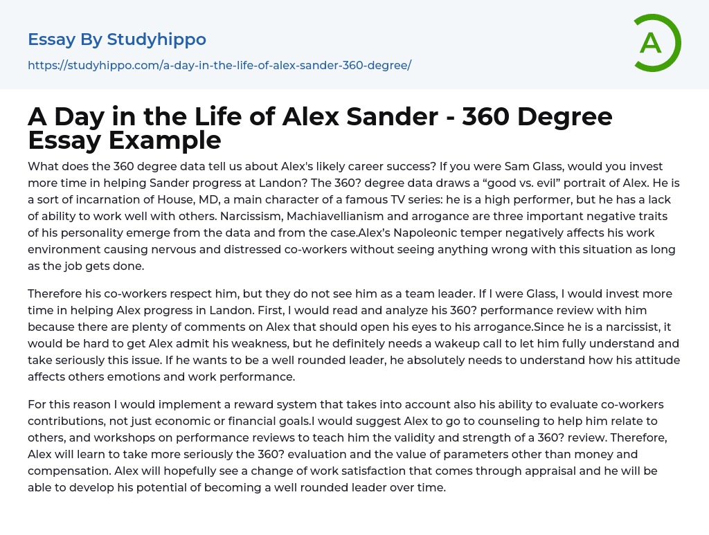 A Day in the Life of Alex Sander – 360 Degree Essay Example