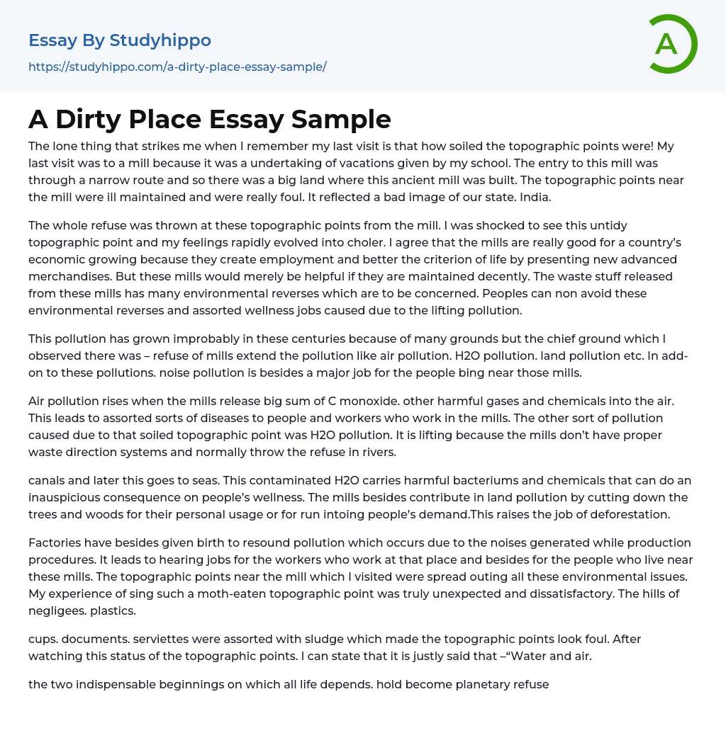 A Dirty Place Essay Sample