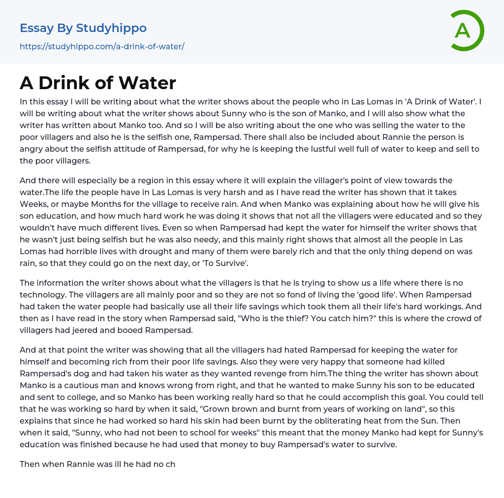 A Drink of Water Essay Example