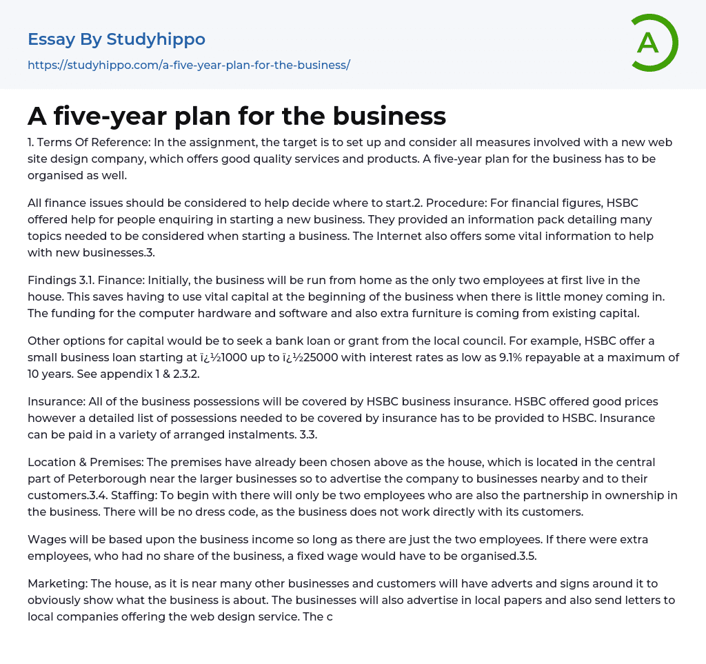 A five-year plan for the business Essay Example