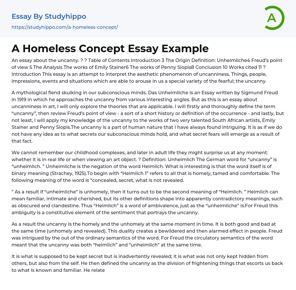 A Homeless Concept Essay Example