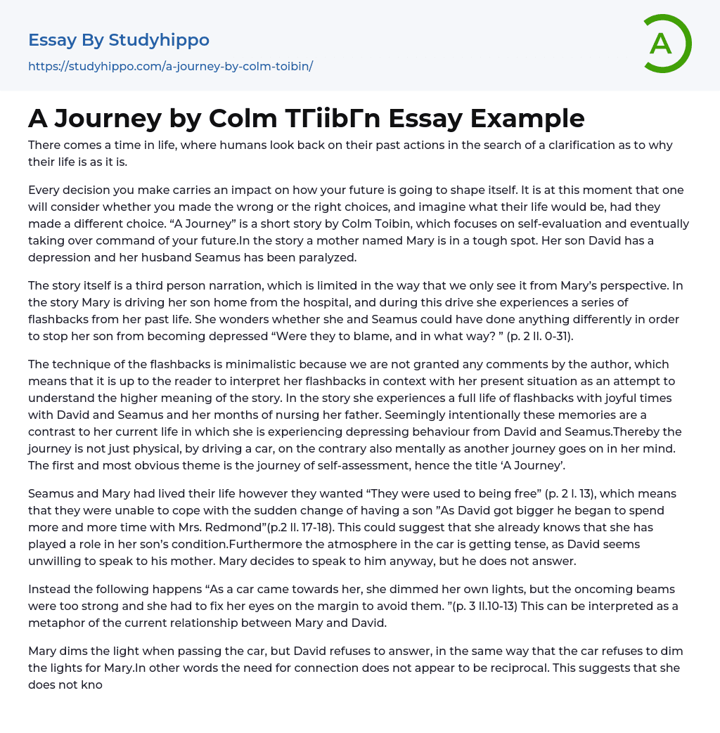 A Journey by Colm T??ib?­n Essay Example
