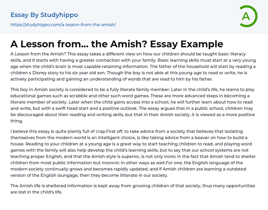 A Lesson from… the Amish? Essay Example