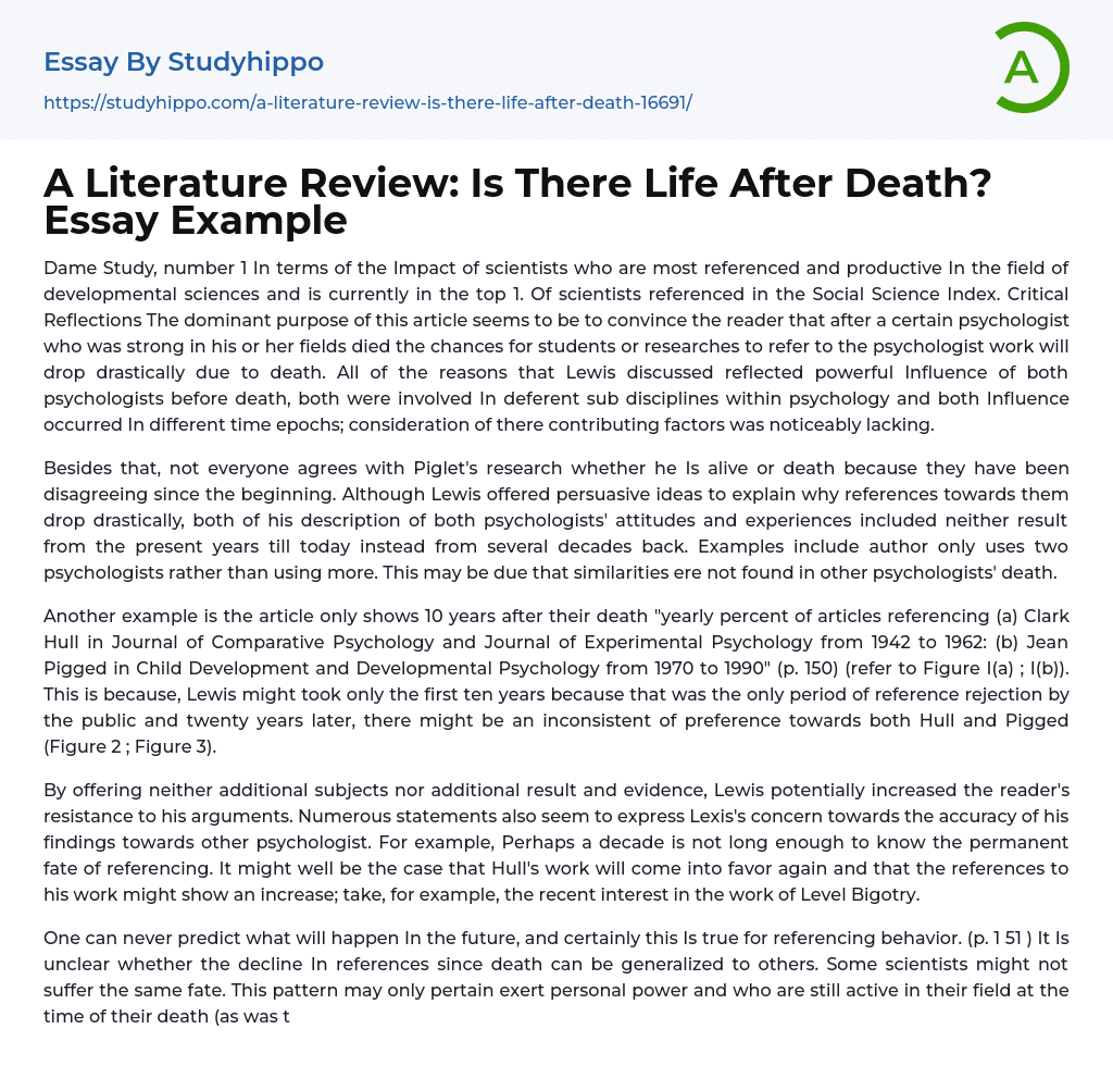 A Literature Review: Is There Life After Death? Essay Example