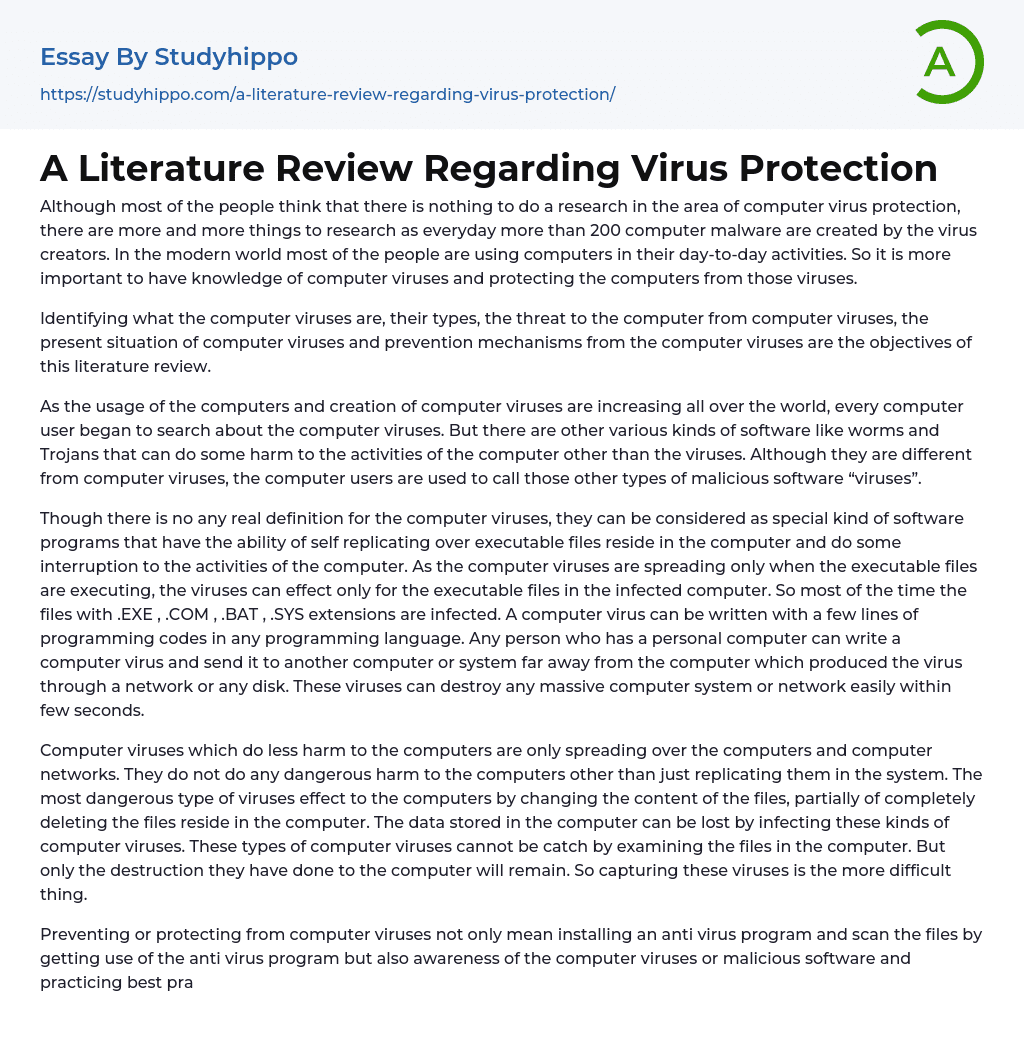 A Literature Review Regarding Virus Protection Essay Example
