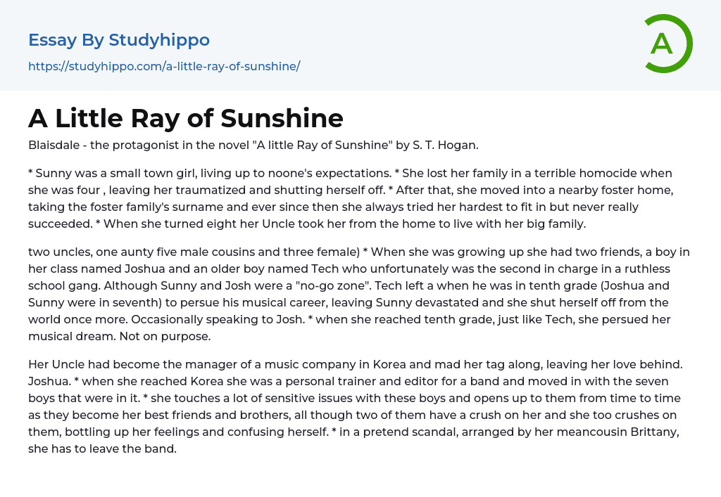 A Little Ray of Sunshine Essay Example