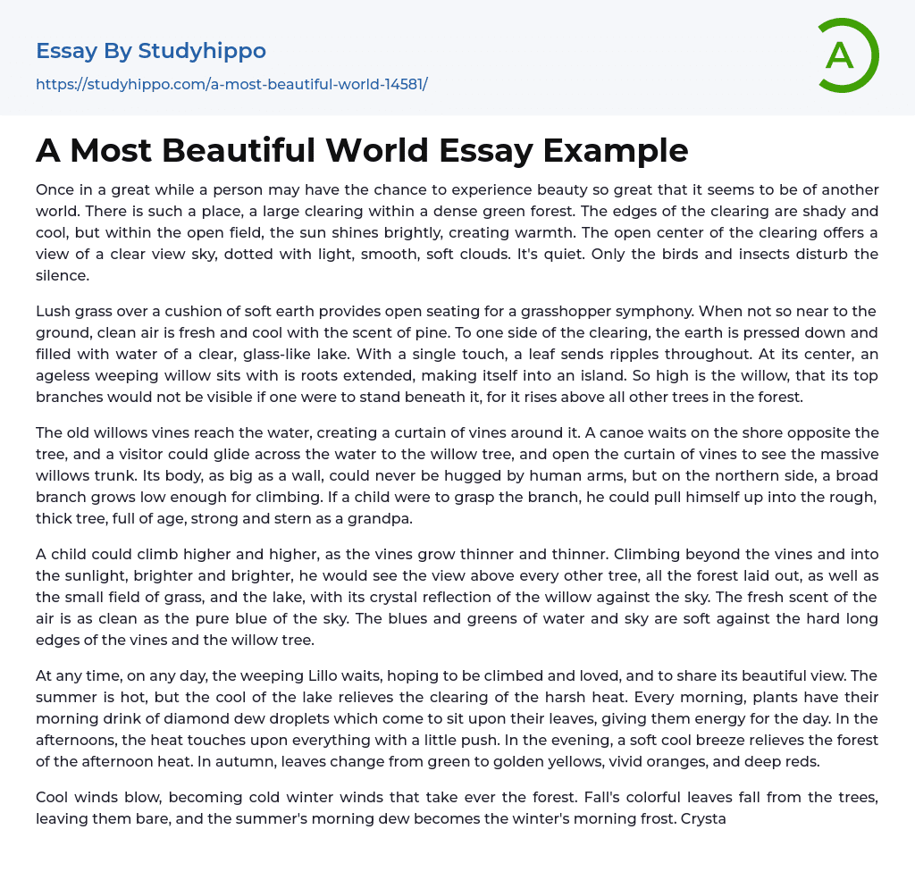 A Most Beautiful World Essay Example