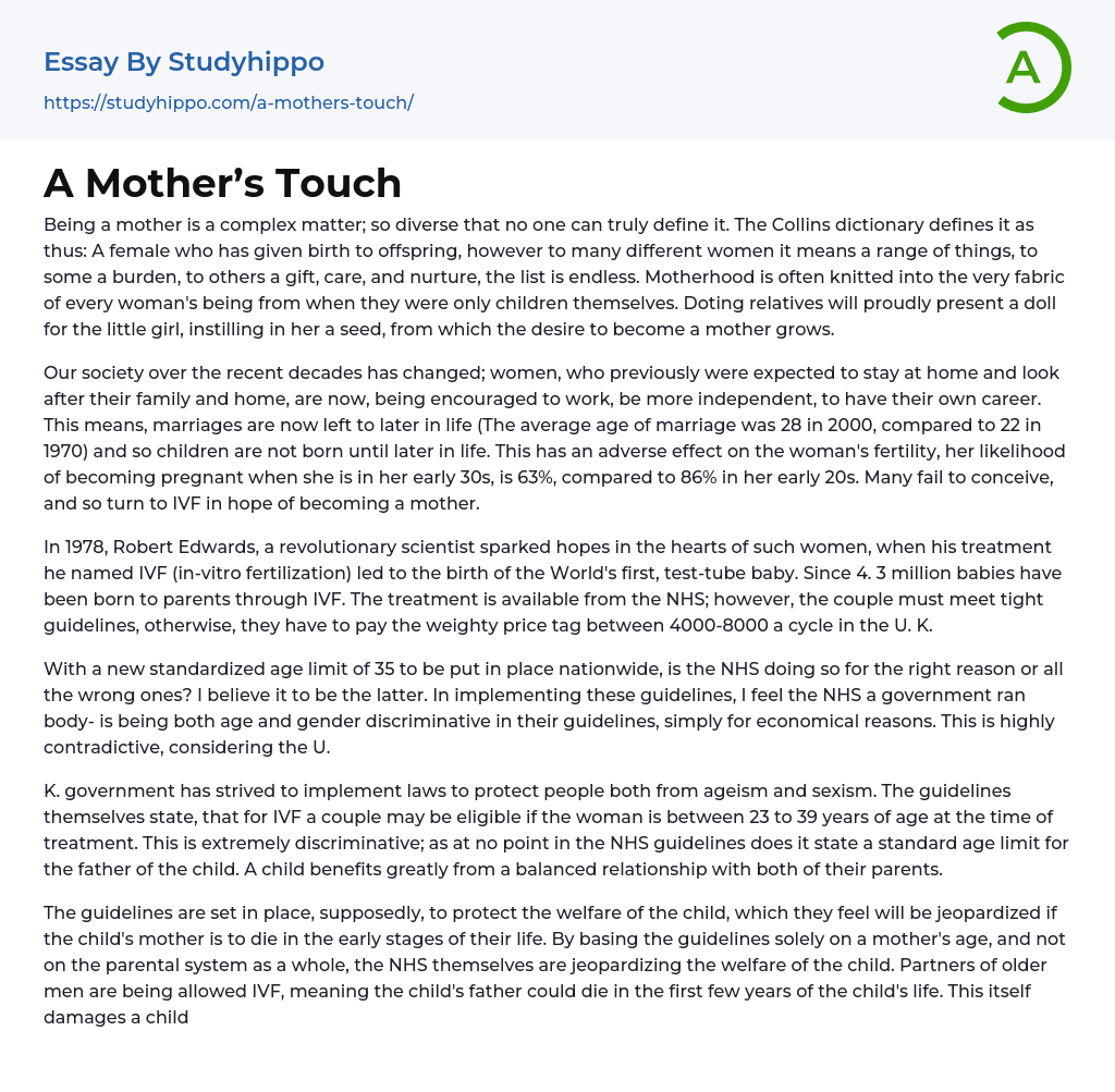 A Mother’s Touch Essay Example