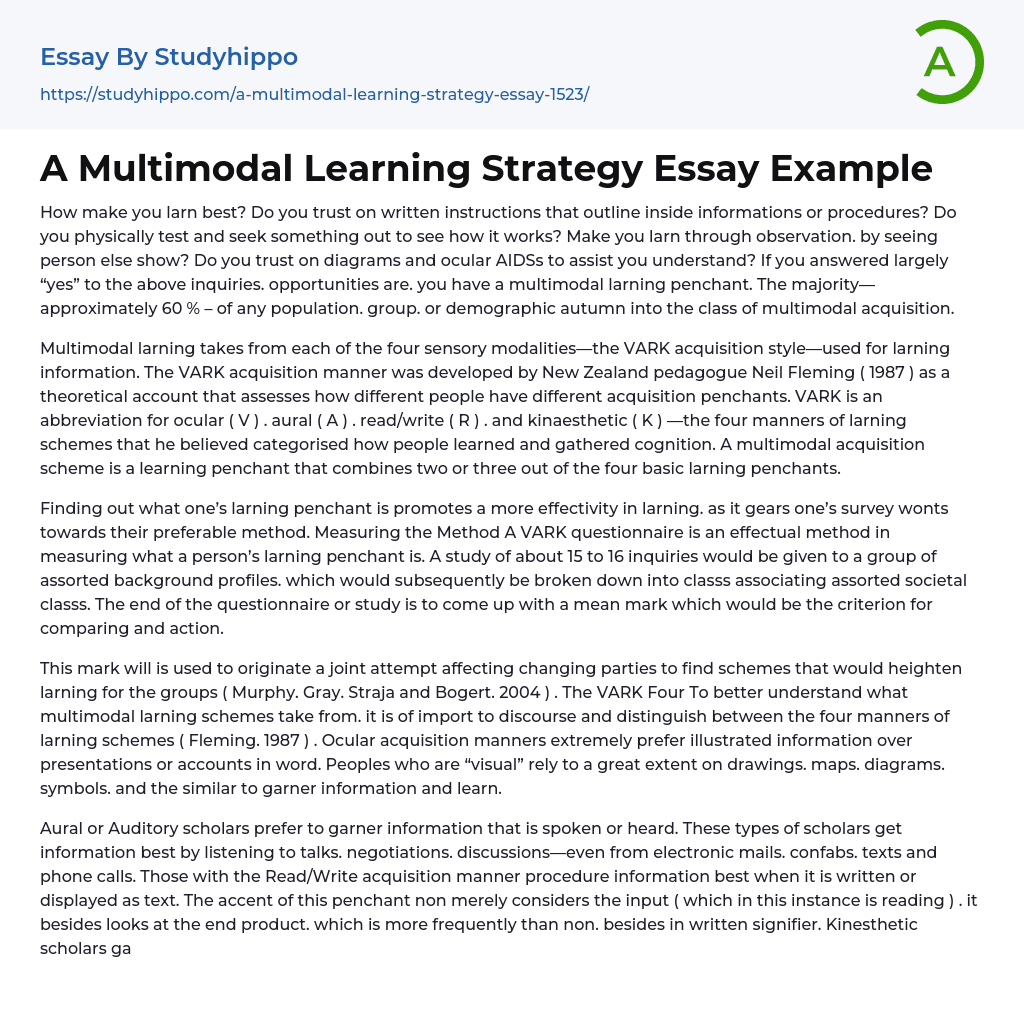 A Multimodal Learning Strategy Essay Example
