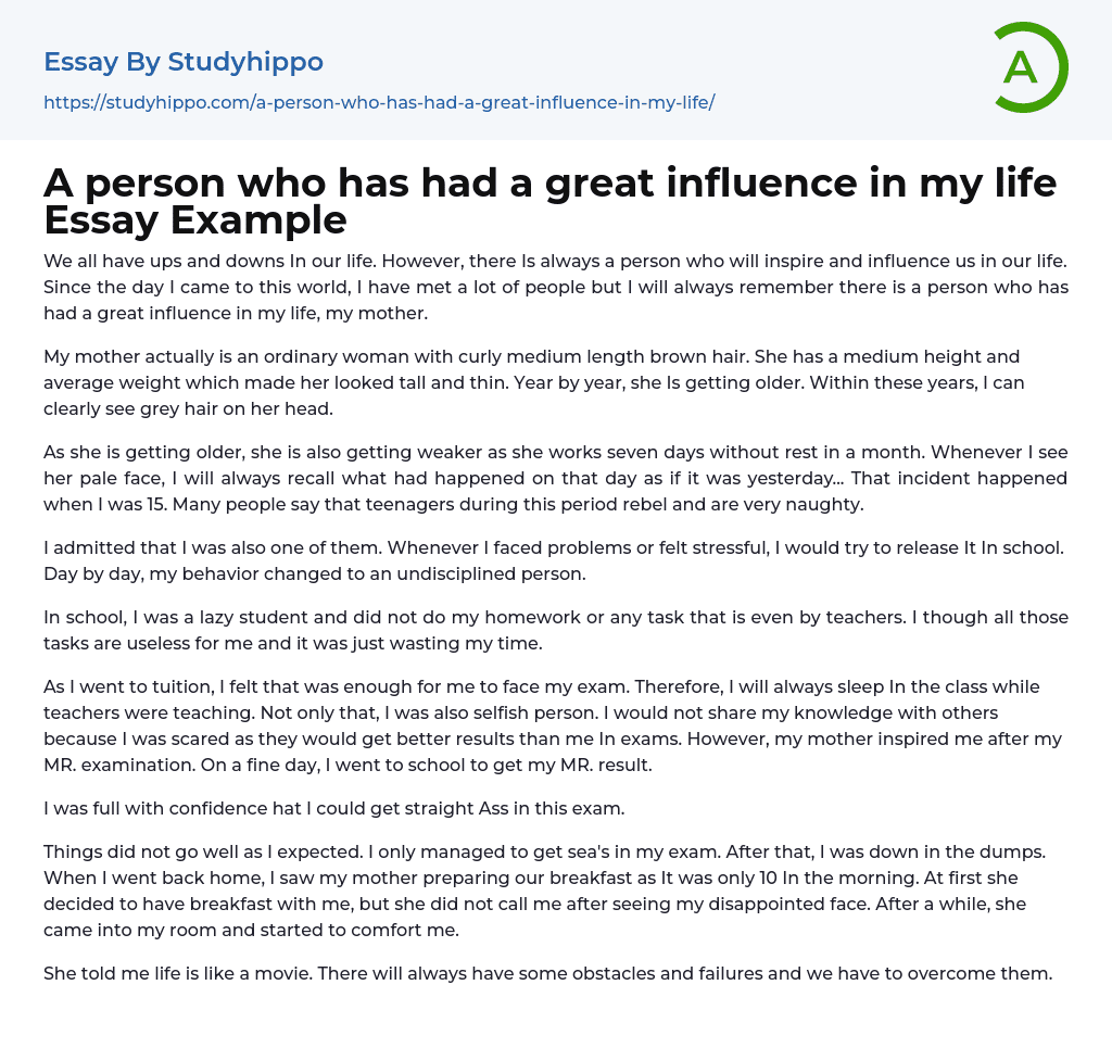 essay on a person who influenced your life