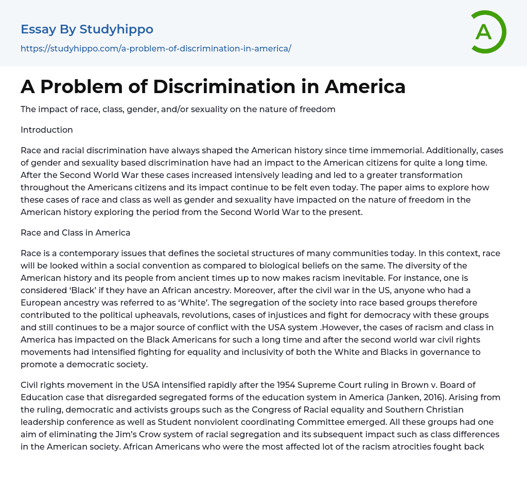 A Problem of Discrimination in America Essay Example