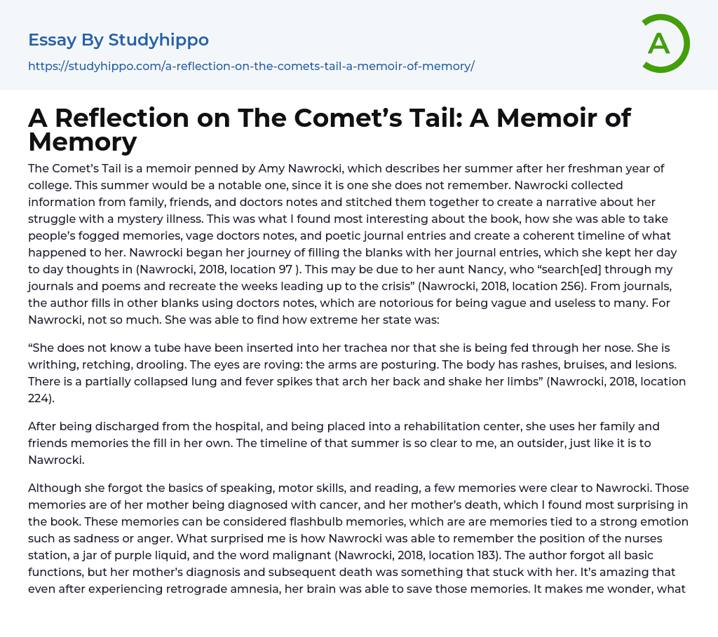 A Reflection on The Comet’s Tail: A Memoir of Memory Essay Example