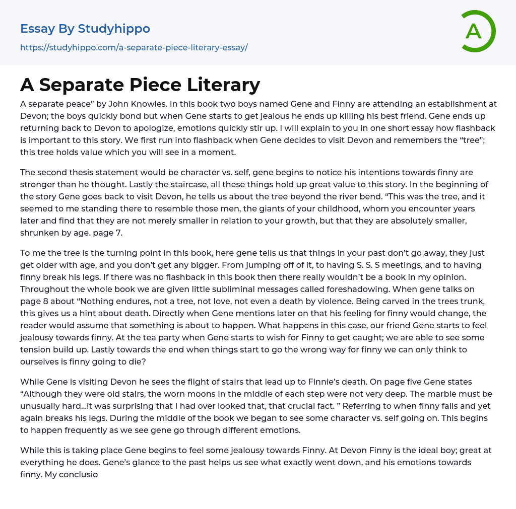 A Separate Piece Literary Essay Example