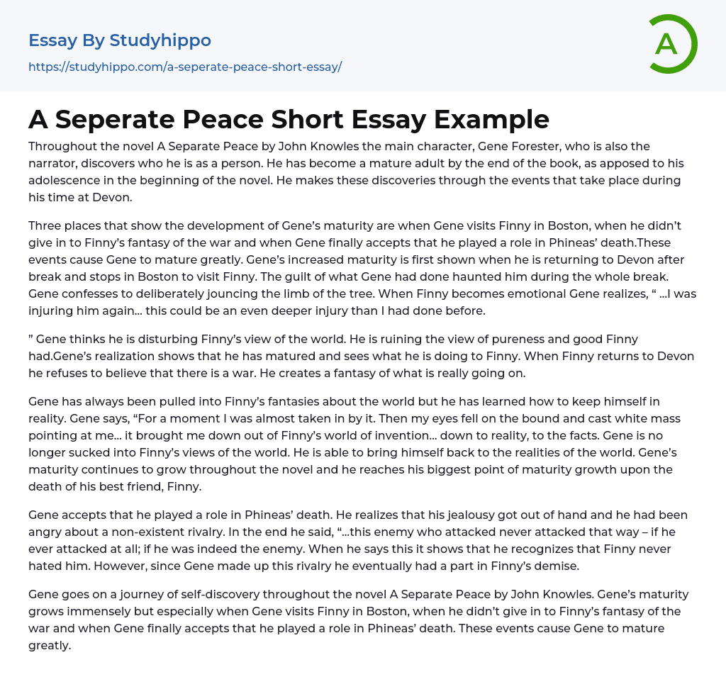A Seperate Peace Short Essay Example