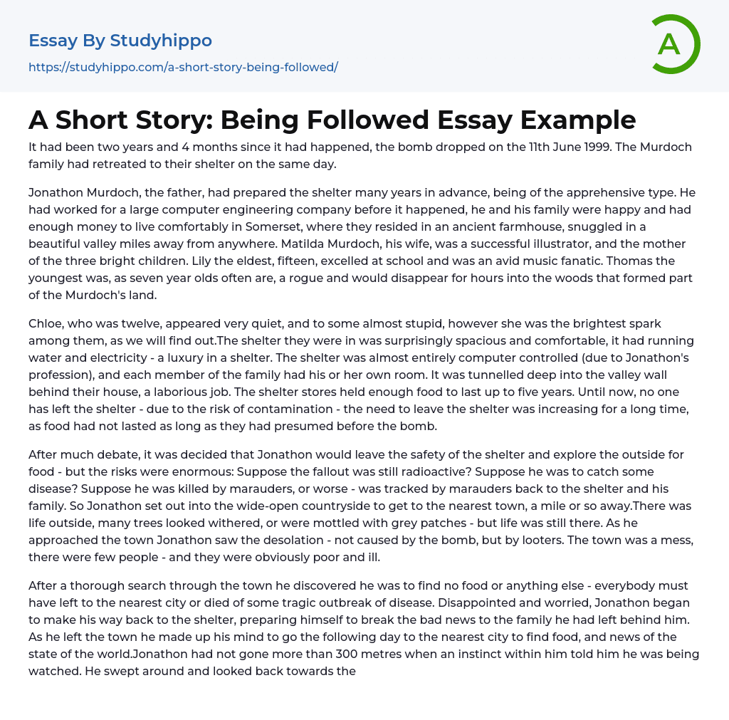 A Short Story: Being Followed Essay Example