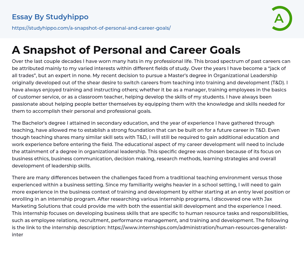 personal and career goals essay