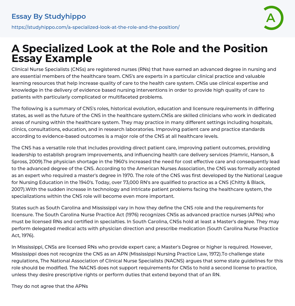 A Specialized Look at the Role and the Position Essay Example
