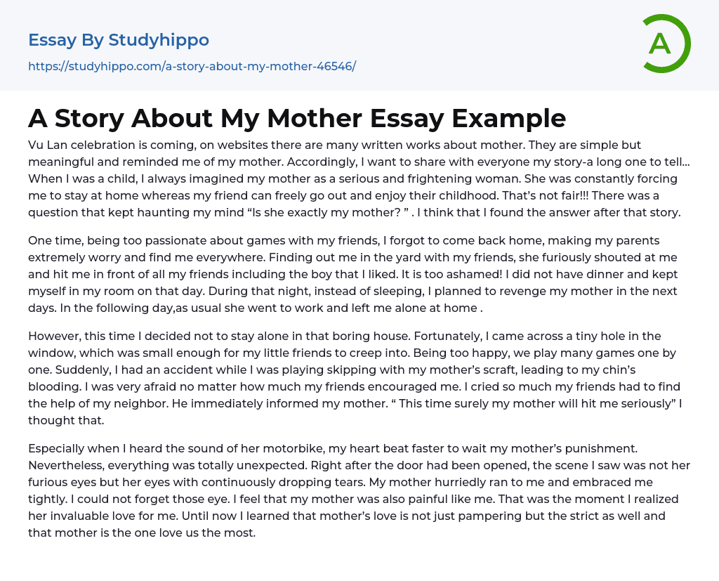 A Story About My Mother Essay Example