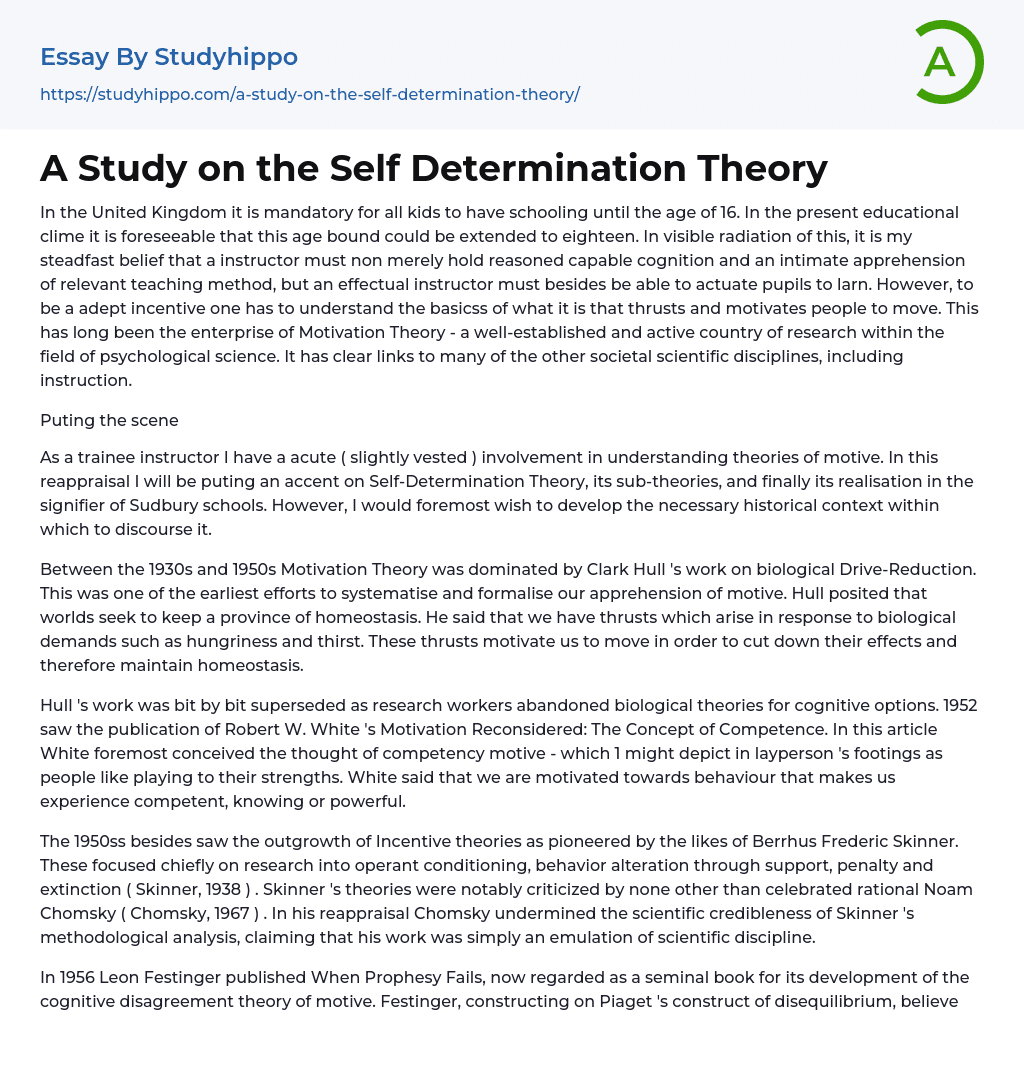 A Study on the Self Determination Theory Essay Example