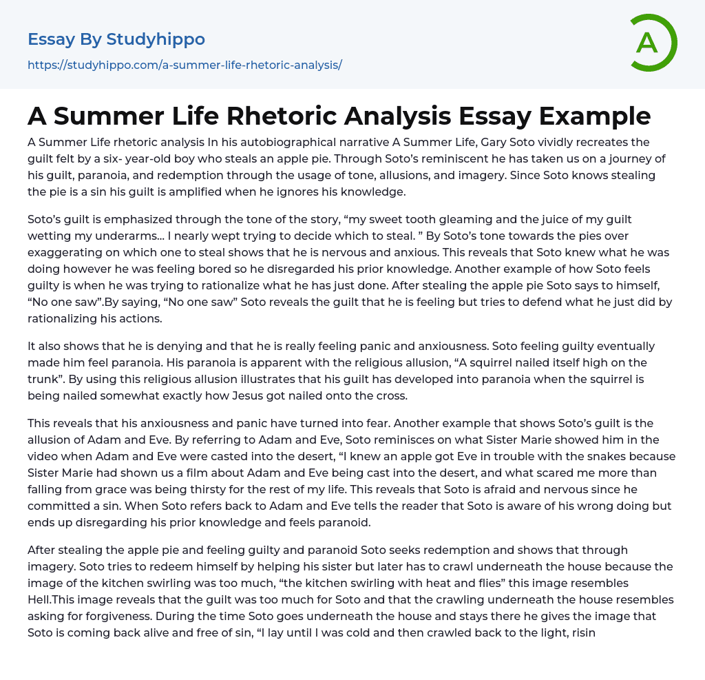 A Summer Life Rhetoric Analysis Essay Example