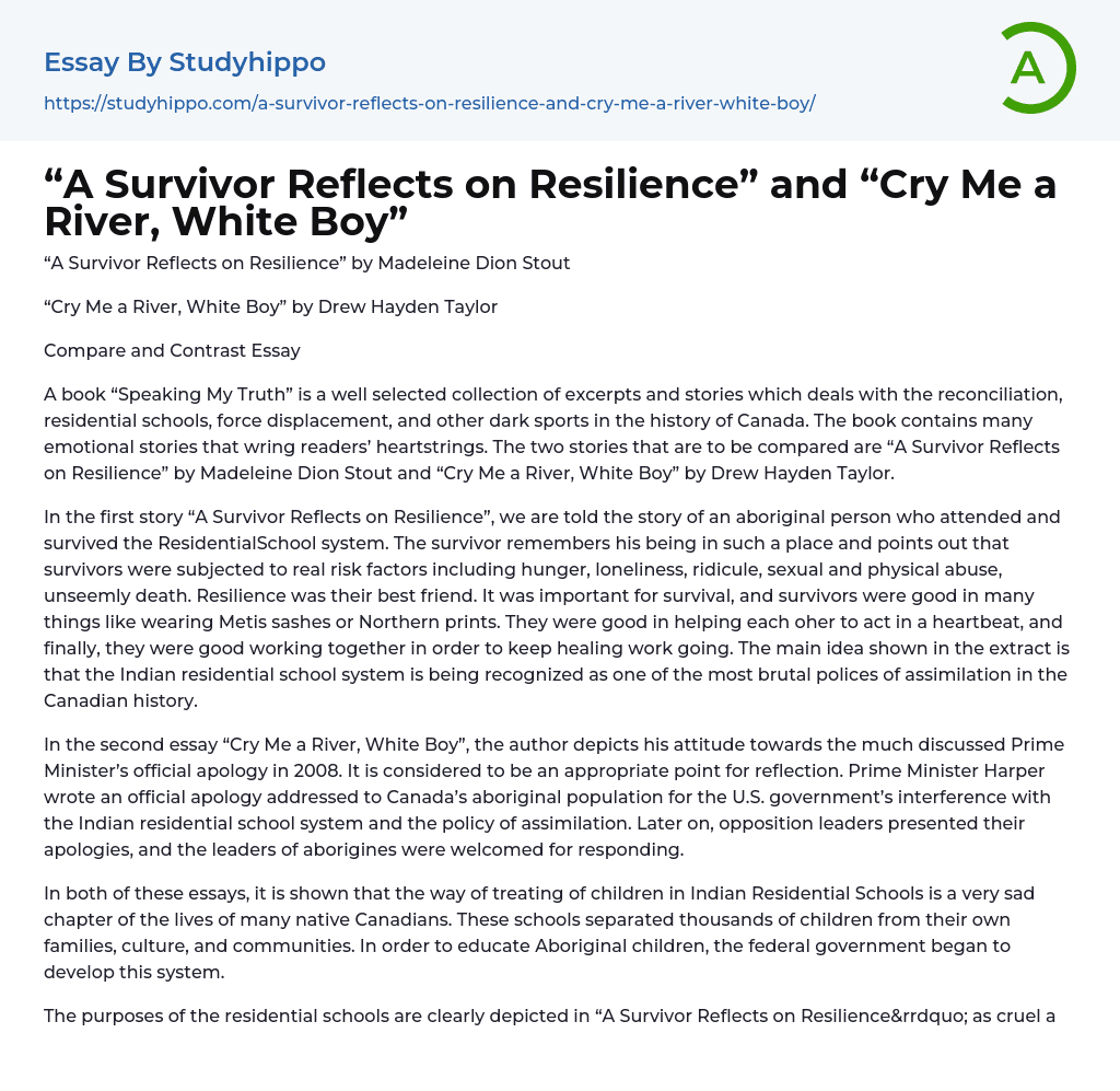 “A Survivor Reflects on Resilience” and “Cry Me a River, White Boy” Essay Example