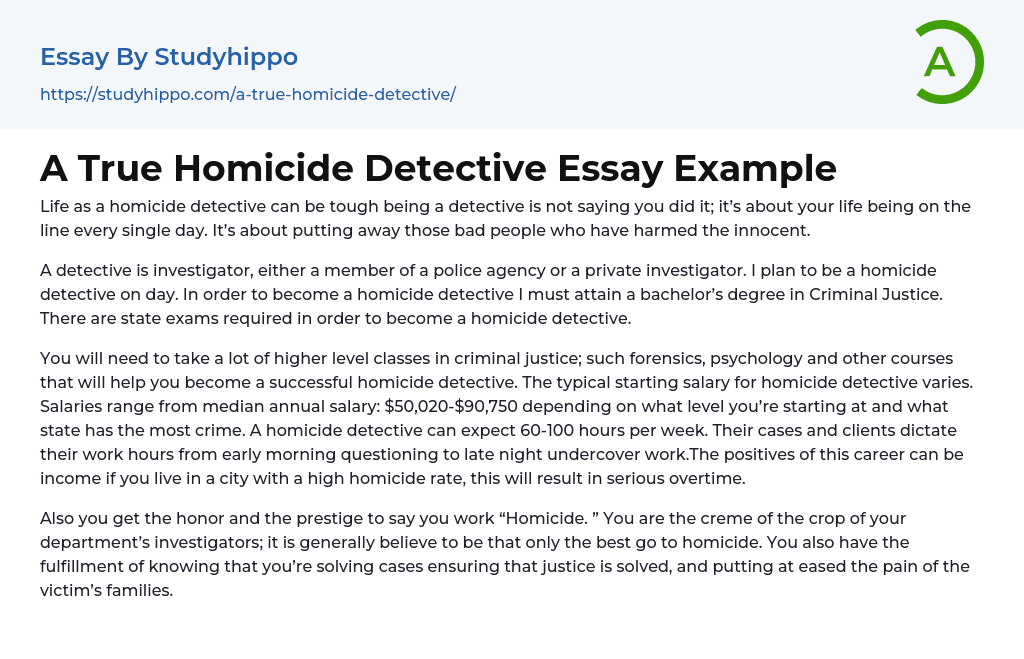 A True Homicide Detective Essay Example