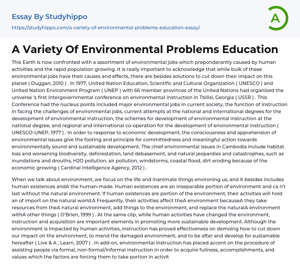 how to solve environmental problems essay 300 words