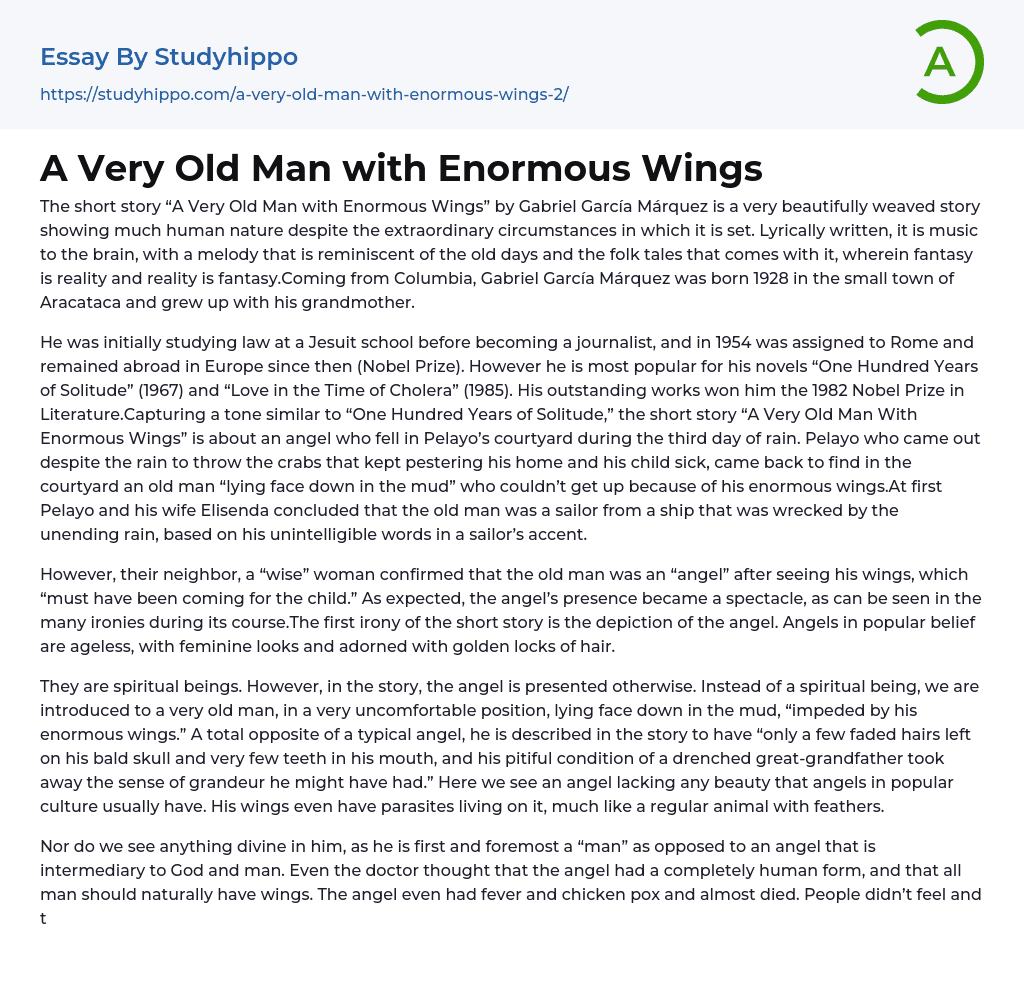 essay on the man with enormous wings