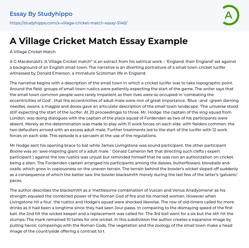 A Village Cricket Match Essay Example
